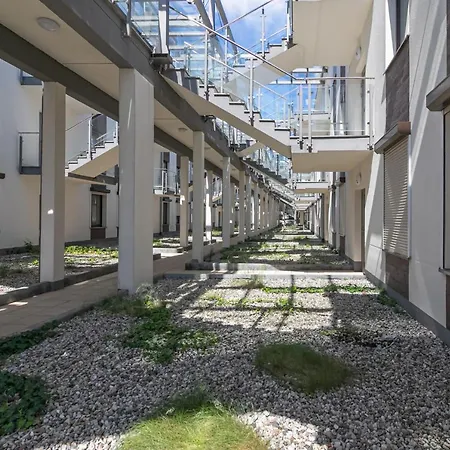 Muszelka Triapart Jantar