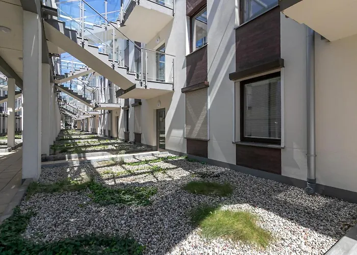 Muszelka Triapart * Jantar