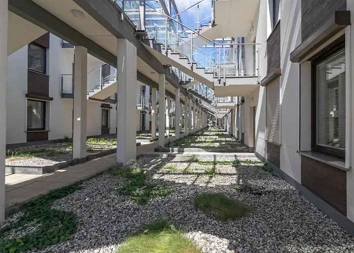 Muszelka Triapart Jantar